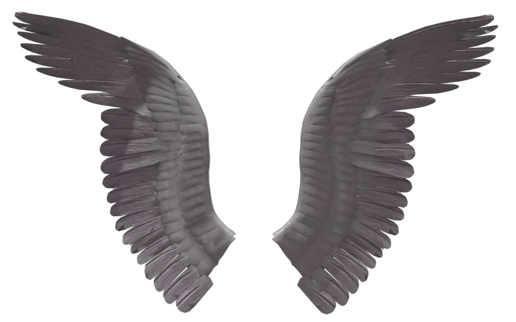 Angel wing (11) by wolverine041269 on DeviantArt
