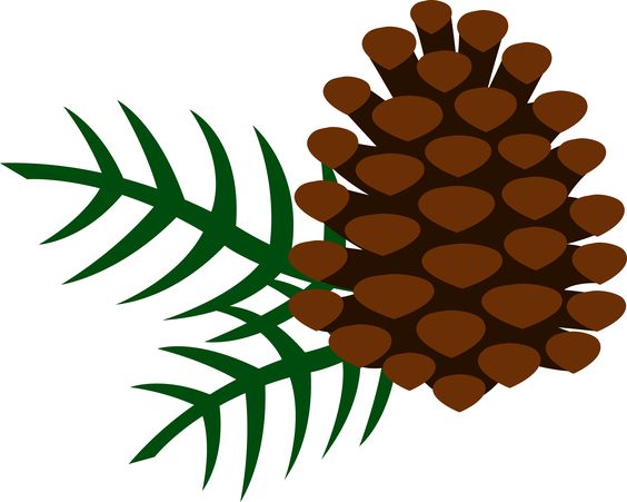 Trees, Graphics and Pine cone art