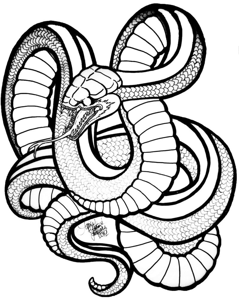 Snake Face Drawing - ClipArt Best