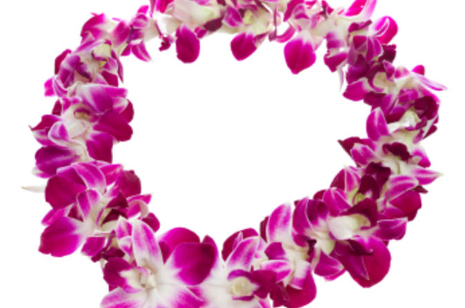 Traditional Lei Greeting in Kona - Big Island of Hawaii | Viator