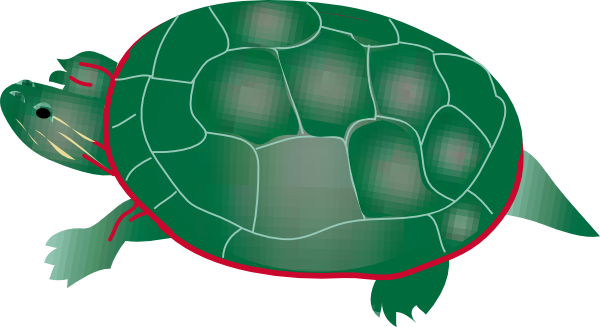 Free clipart of turtles