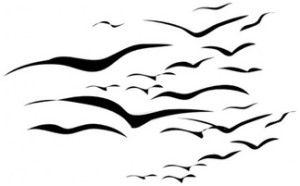 Graphic Birds Designer - Free backgrounds, free vector graphics ...