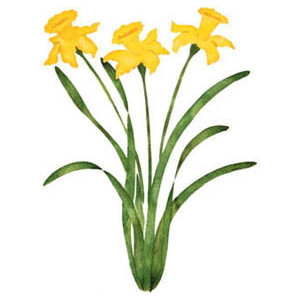 Garden Daffodil, Two Sizes: The Stencil Catalog from Stencil ...