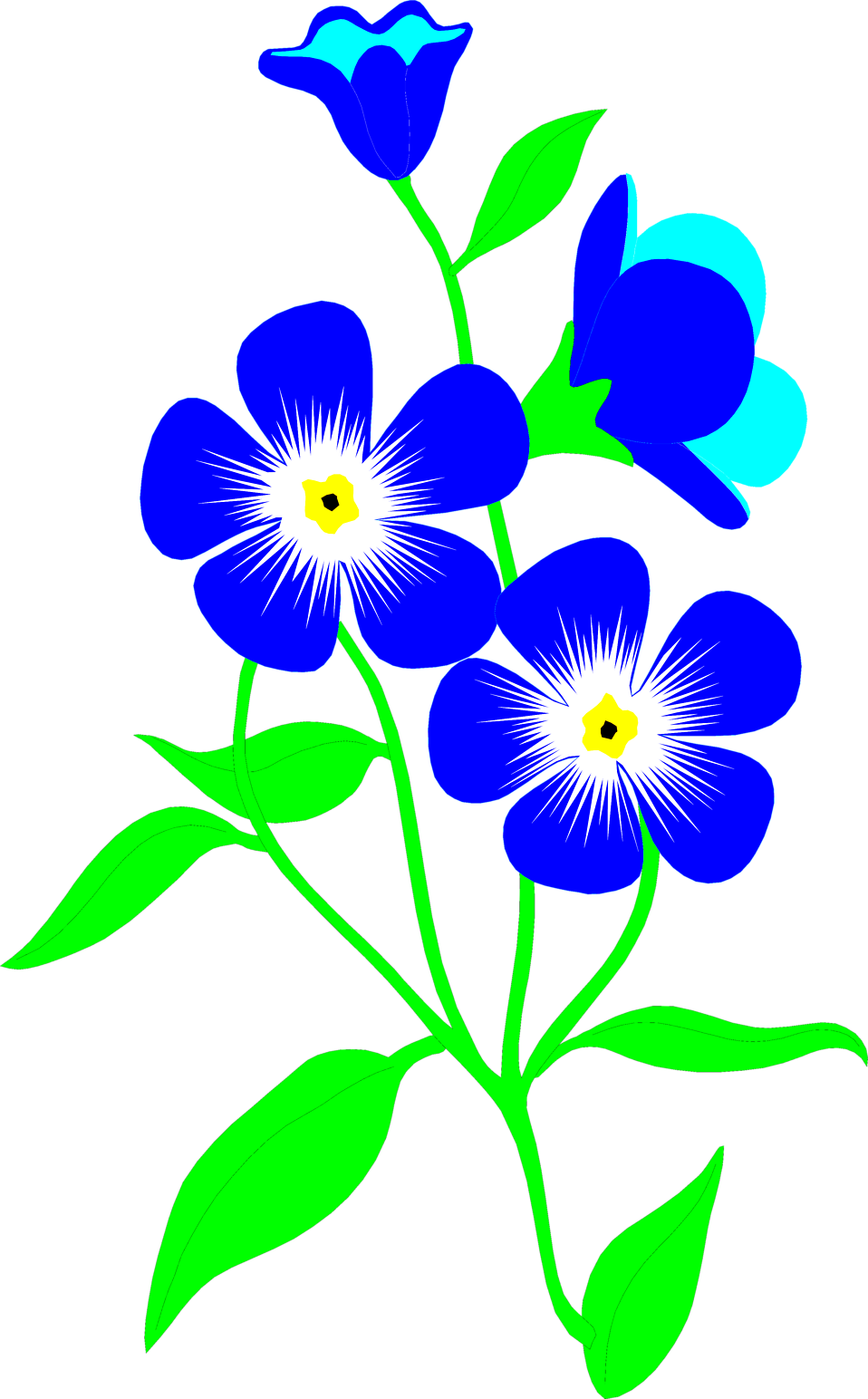 Flowers Blue | Free Stock Photo | Illustration of blue forget-me ...
