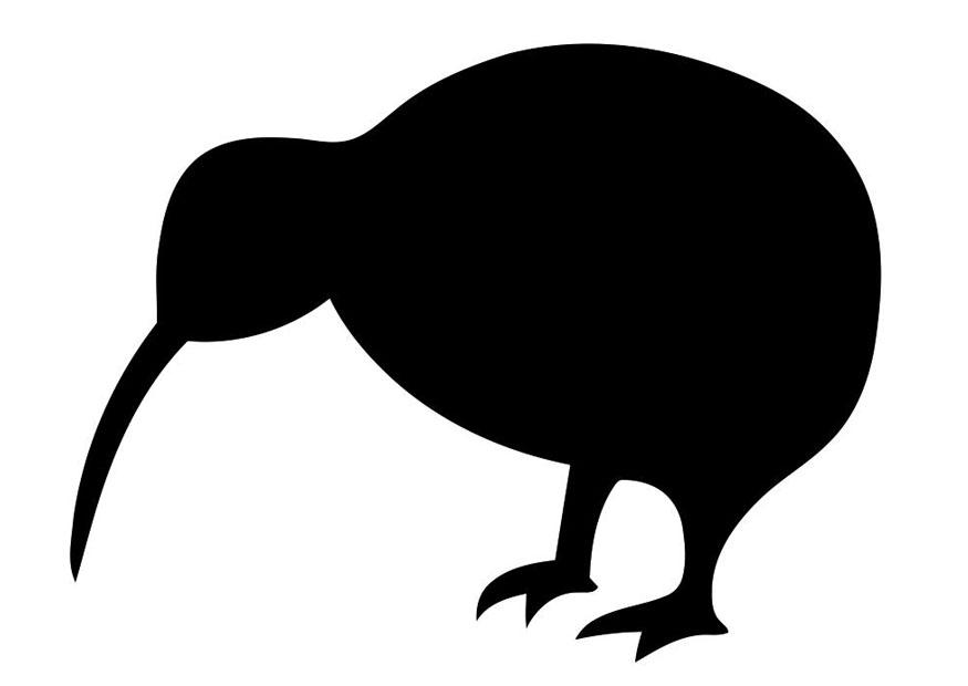 Coloring page silhouette of bird - kiwi - img 19631.