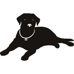 1000+ images about labradors | Silhouette pictures ...