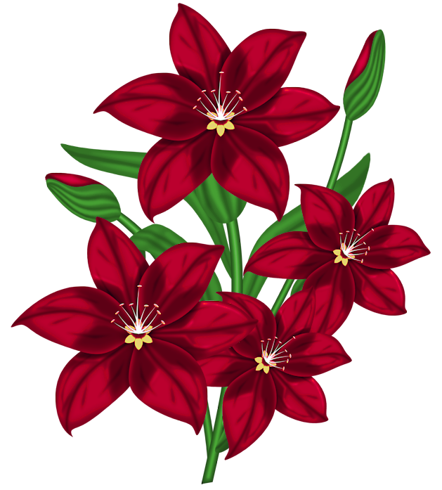 Red Flower-png - ClipArt Best