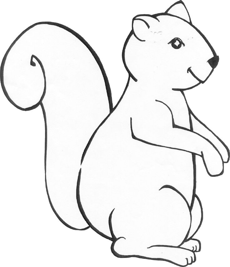 Squirrel Templates ClipArt Best