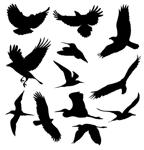 BB Free Vectors: Birds in Flight - BittBox