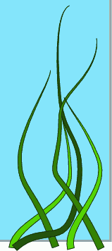 Drawings Of Seaweed - ClipArt Best