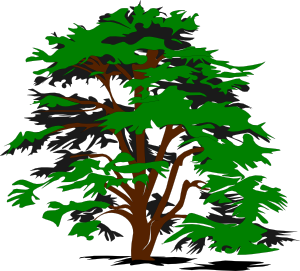 Simple Tree clip art - vector clip art online, royalty free ...