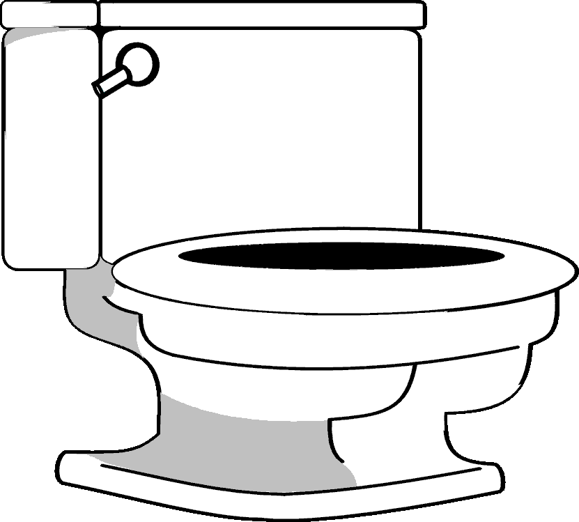 BASIN: General Information on Fecal Coliform