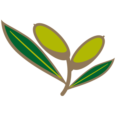 Olive leaf clipart