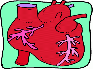 Clipart body with heart