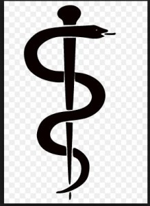 Healthcare Logo Snake