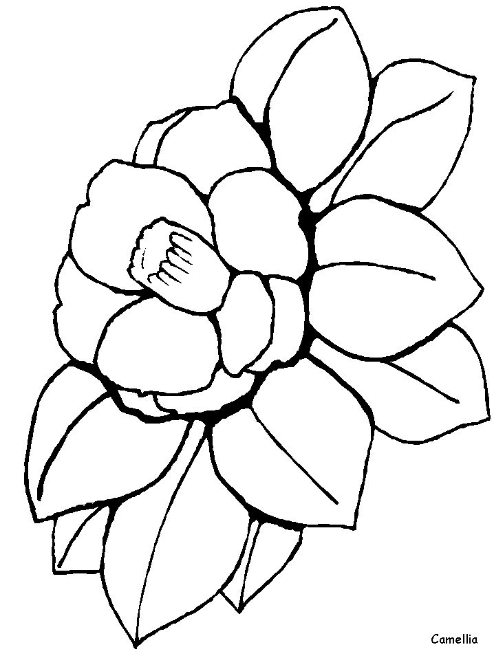 Coloring Book Pages Flowers - AZ Coloring Pages