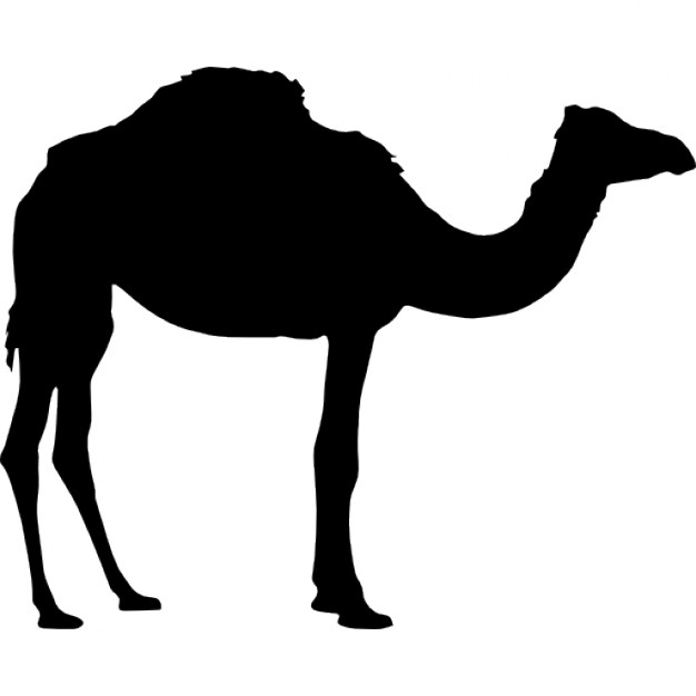 Camel silhouette Icons | Free Download