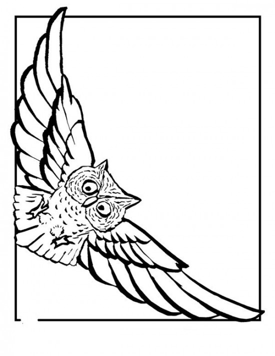 Flying Owl Coloring Pages Free Wallpaper / All About Free Coloring ...
