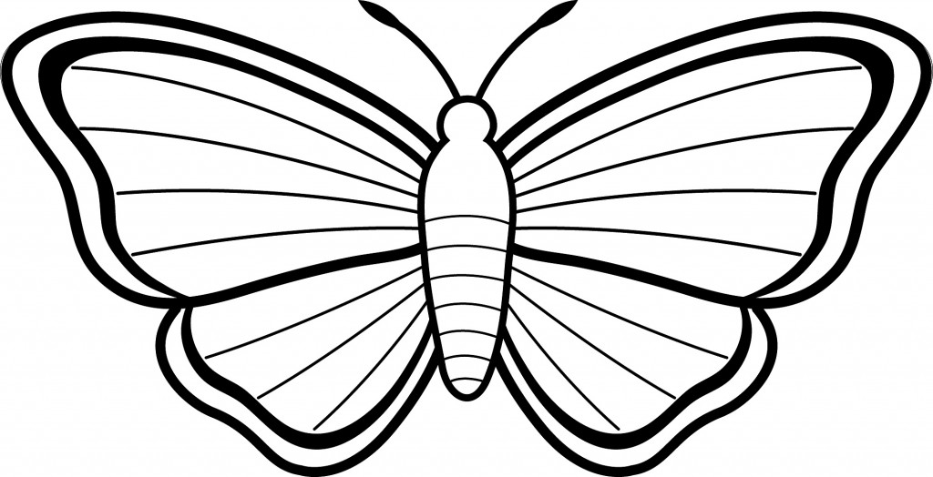 Pic Of Butterfly Simple In Black N White For Colouring For ...