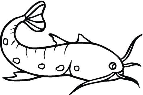 Swordfish 3 coloring page - Free Printable Coloring Pages