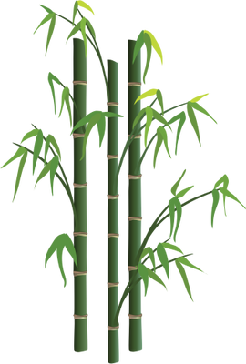 Bamboo Vector - ClipArt Best