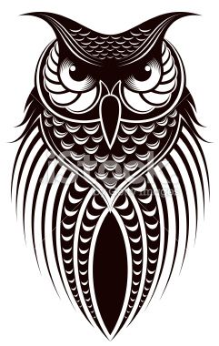 Owl Art | Owl Print, Owl ...