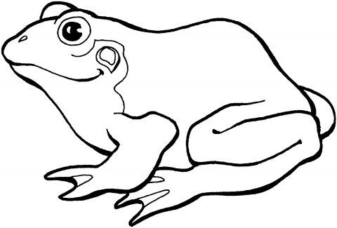 Best Photos of Frog Outline Template - Frog Outline Coloring Page ...