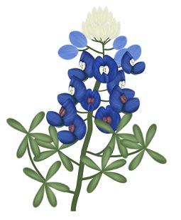 Pracken's Paint Shop Pro Tutorials: Bluebonnets