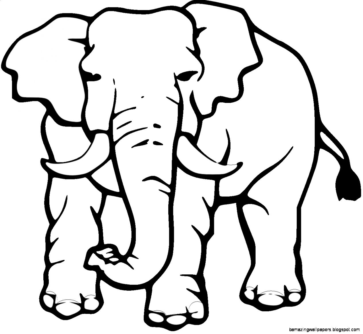 Elephant black and white clipart