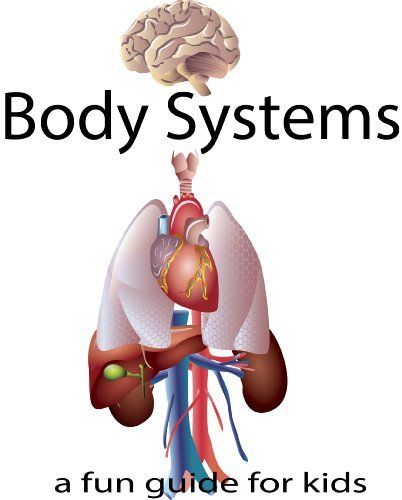 Digestive System For Kids - ClipArt Best