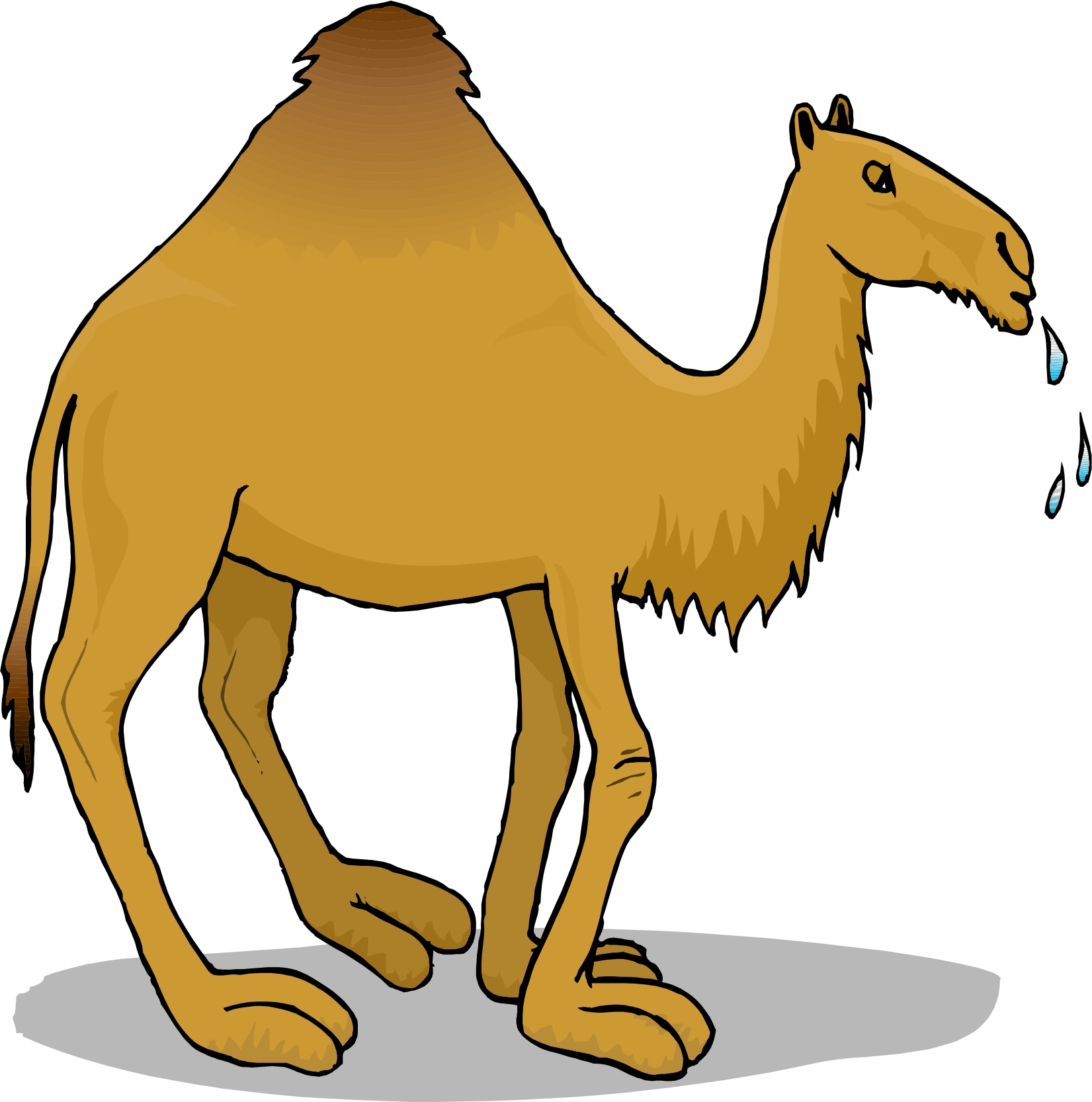 Clip art camel clipart 2 image - Cliparting.com