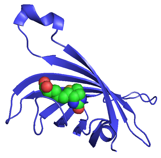 Streptavidin