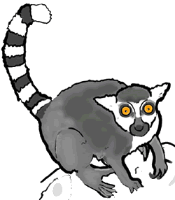 Lemur Clip Art - Free Clipart Images