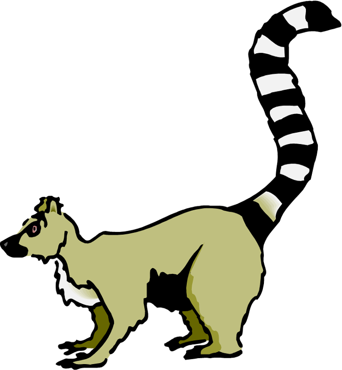 Lemur Clipart