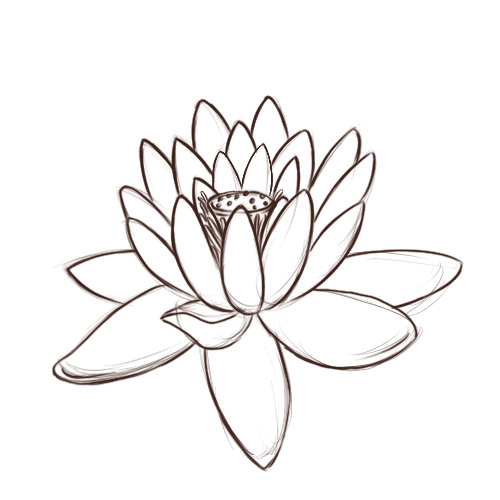 Draw A Lotus - ClipArt Best