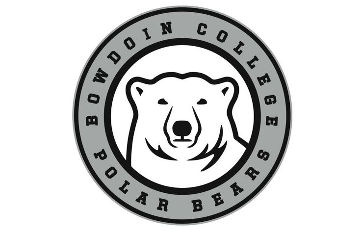 D, Logos and Bears