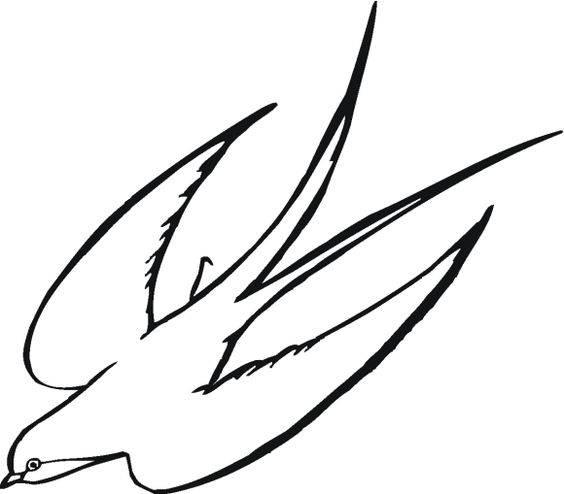 Bird design, Line drawings and Drawings