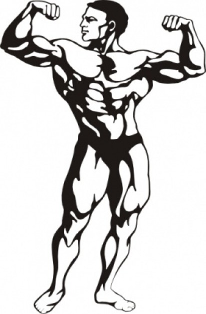 Body Builder clip art Vector | Free Download