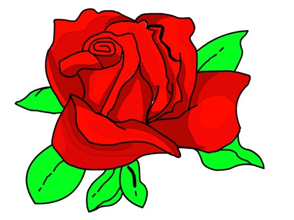 Cartoon Rose Pictures