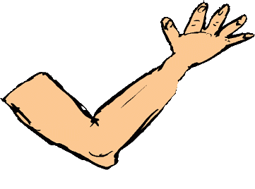 Clipart arm