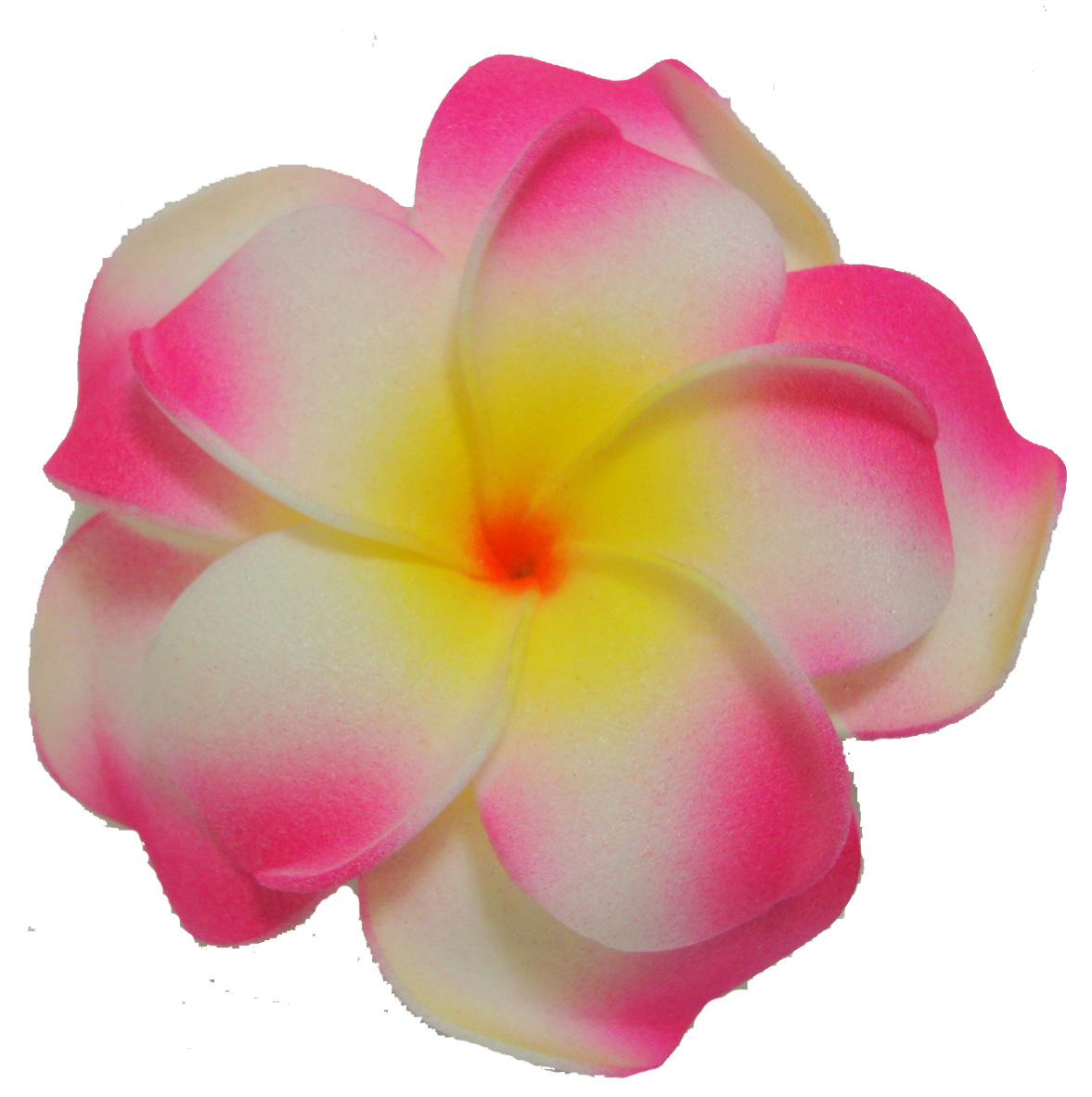 Clip art plumeria flower