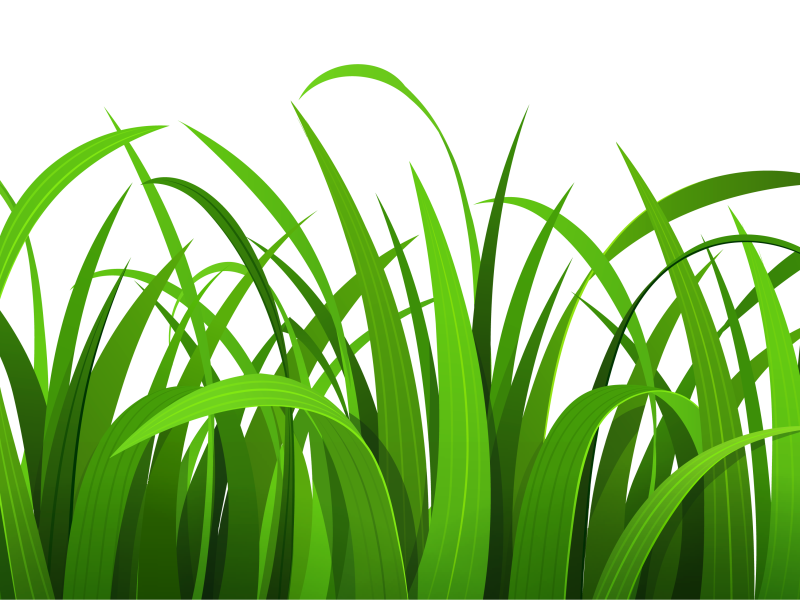 grass clip art | Hostted