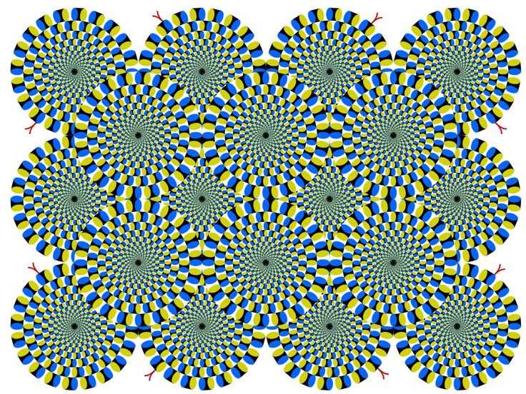 Best Optical Illusions | Optical ...