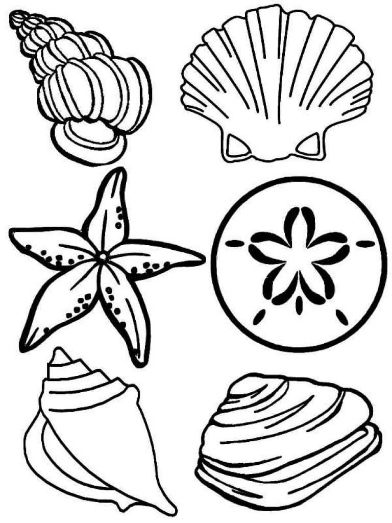 The Most Brilliant along with Attractive Sea Shells Coloring Pages ...