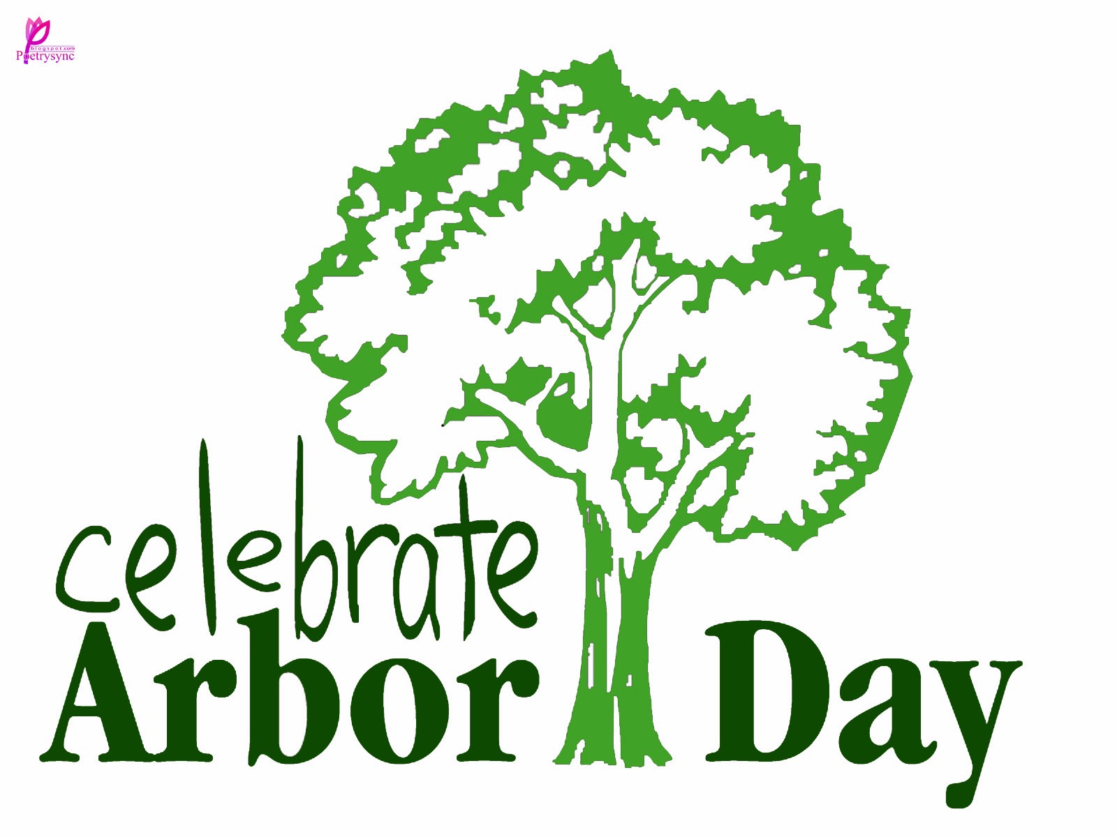 Arbor Day Quotes and Beautiful Arbor Tree Images | 26 January