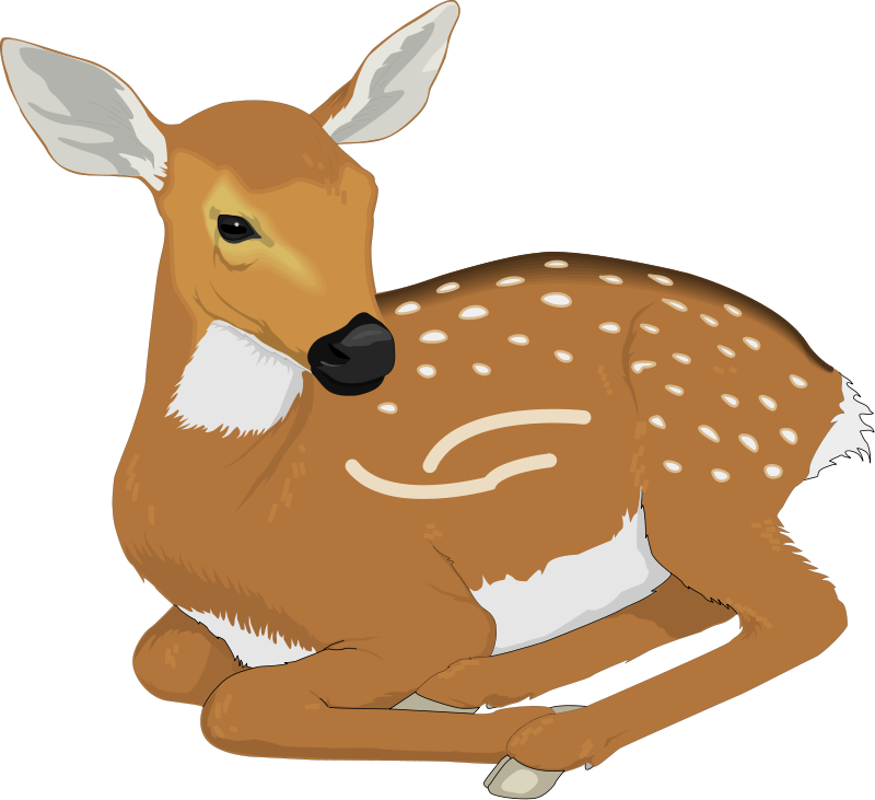 Baby Deer Clip Art - ClipArt Best