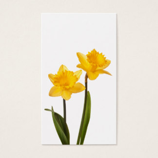 Daffodil Business Cards & Templates | Zazzle