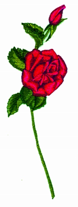 Balboa Threadworks Embroidery Design: Long Stem Rose 9.97 inches H ...