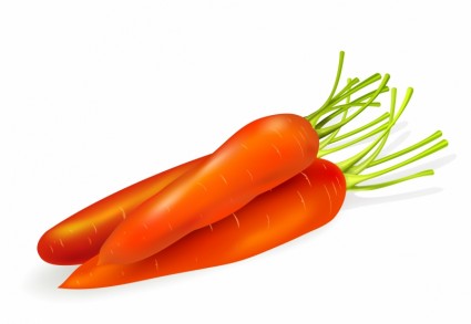 Carrots Clip Art Download