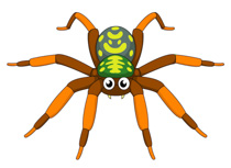Free Spider Clipart - Clip Art Pictures - Graphics - Illustrations